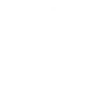 Switch