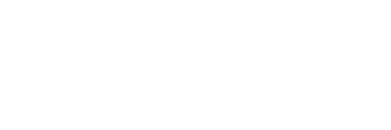 Sport VTS