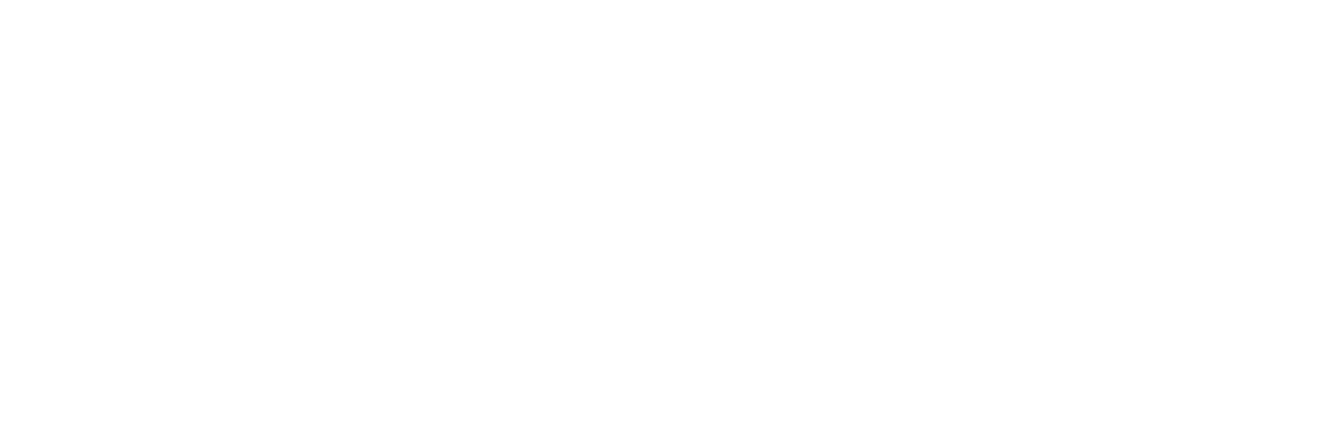 Kung Fu