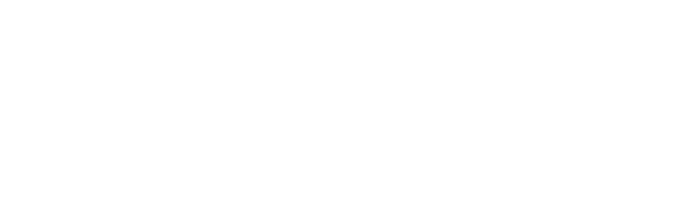 Blizzard