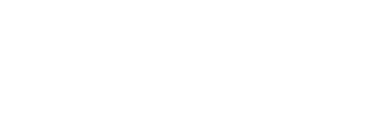 BossFight
